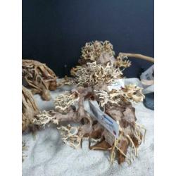 Bonsai decoratie hout