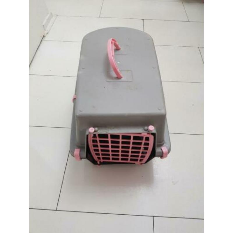 katten reismand