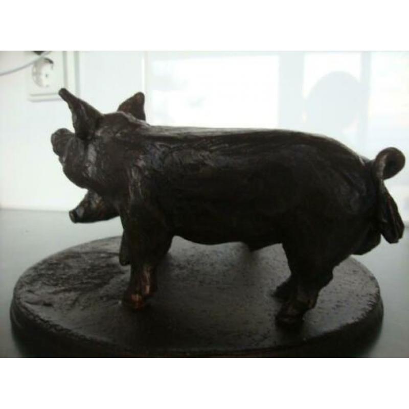 beeldje varkens
