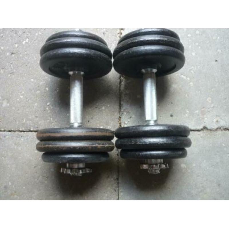 dumbells