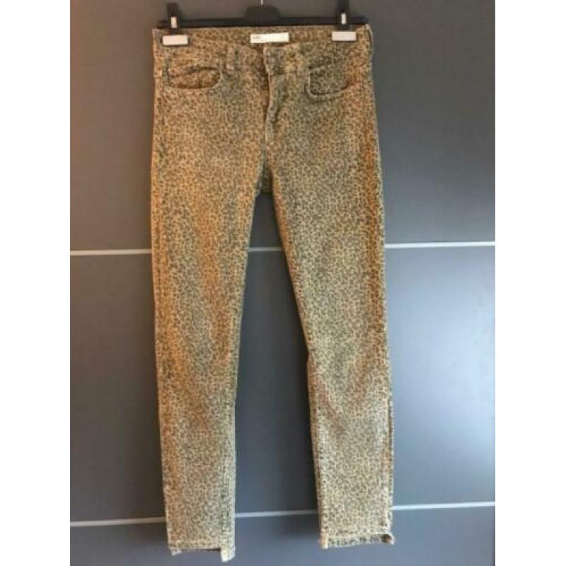 Broek met print