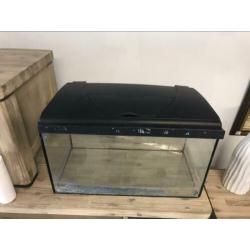 Mooi groot aquarium bak inclusief inhoud te koop!