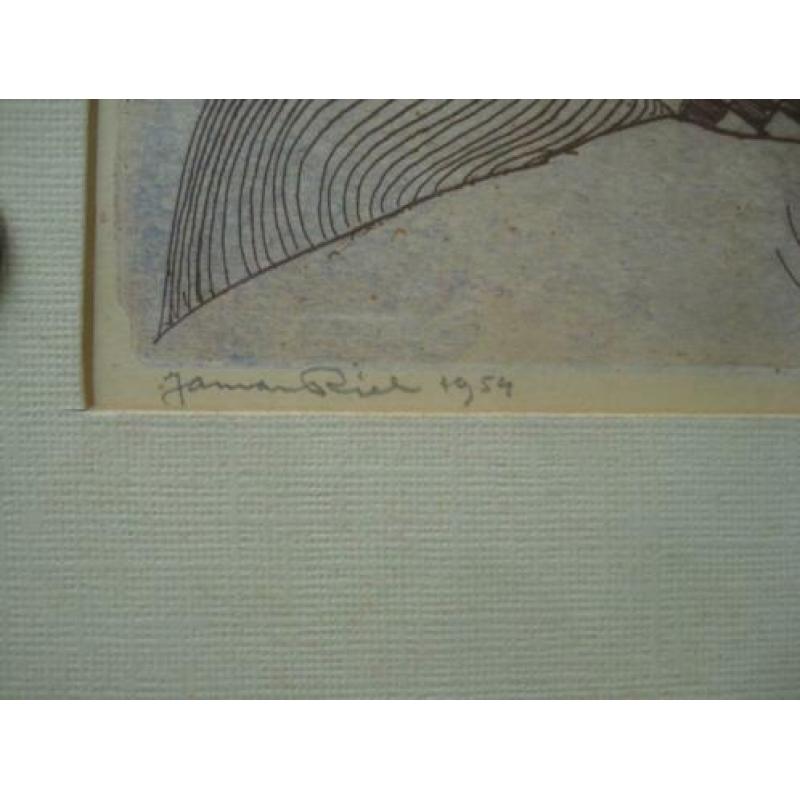 mini oplage druk 4/8 1954 kunst gesigneerd jenna riel ?