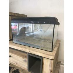 Mooi groot aquarium bak inclusief inhoud te koop!