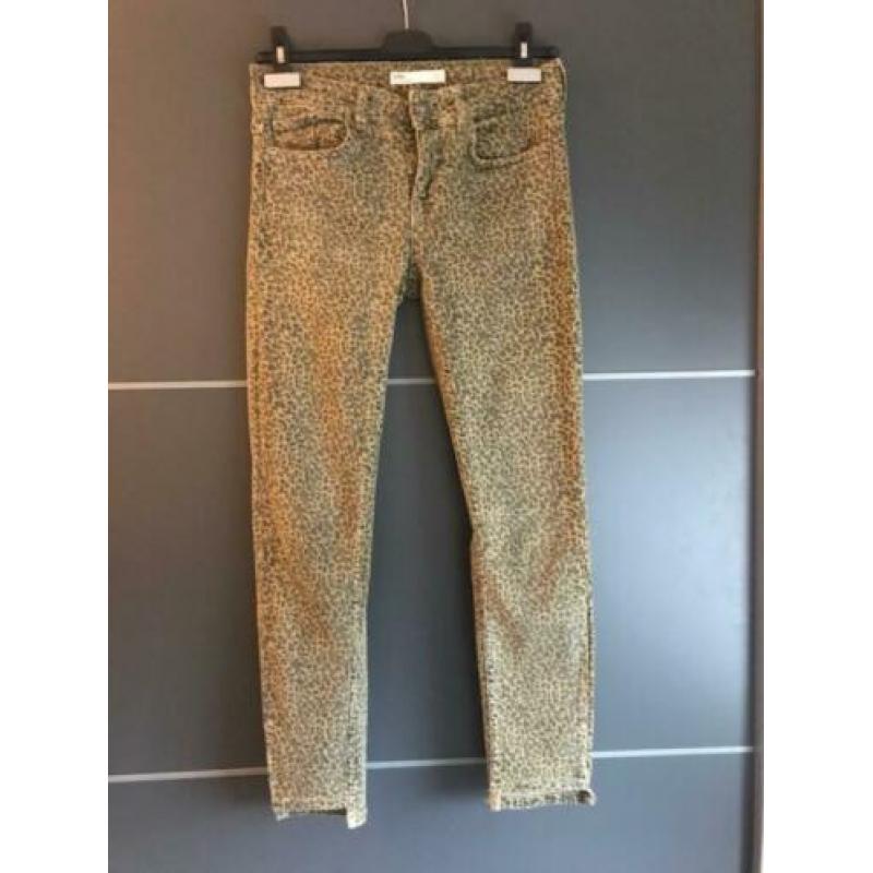 Broek met print