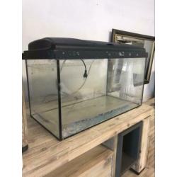 Mooi groot aquarium bak inclusief inhoud te koop!