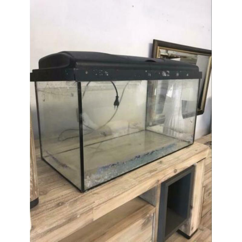 Mooi groot aquarium bak inclusief inhoud te koop!