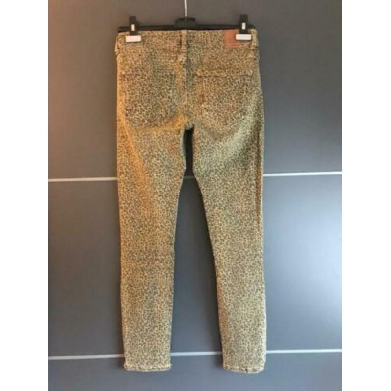 Broek met print