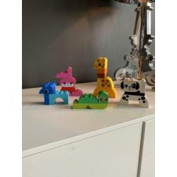 Heel veel duplo