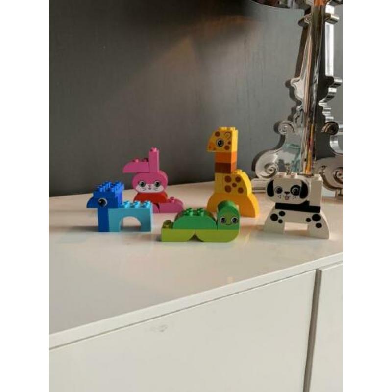Heel veel duplo