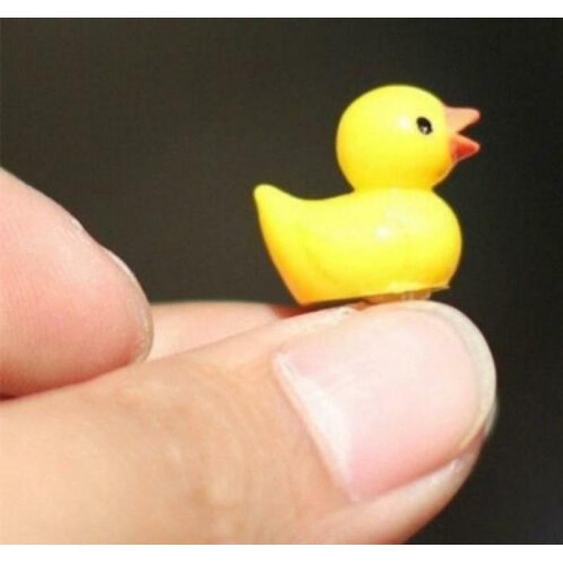 2 Mooie kleine eendjes nr 7