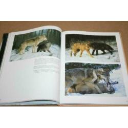 De wolf - Tussen mythe en waarheid !!