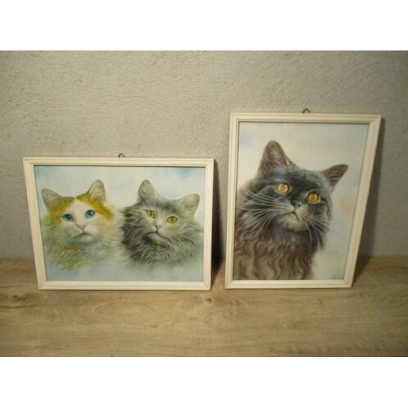 Vintage retro poezen prents