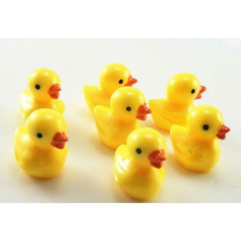 2 Mooie kleine eendjes nr 7