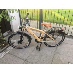 Gazelle Discover 24 inch