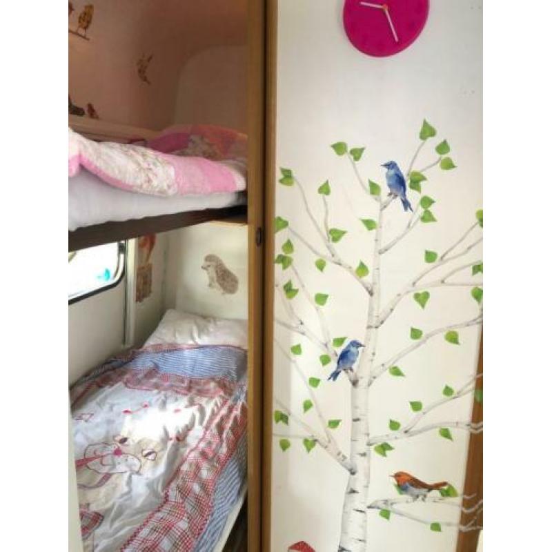 Gepimpte opgeknapte caravan TEC Weltbummler 5 personen