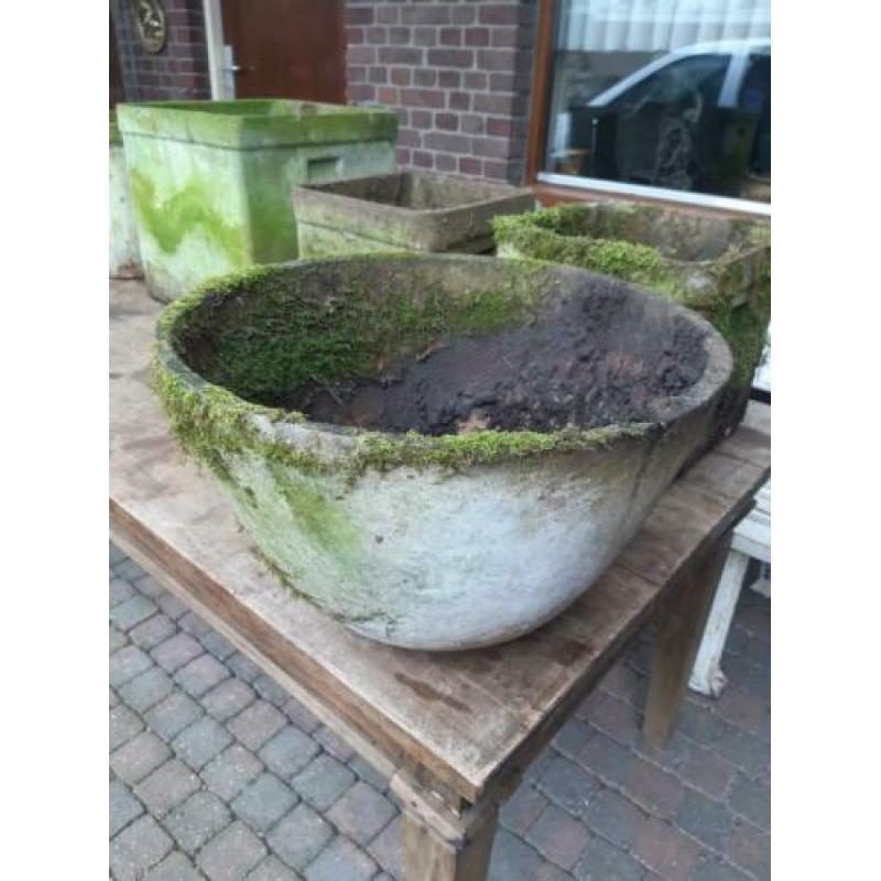 1950s Willy guhl planter rond bloempot pot bloembak eternit