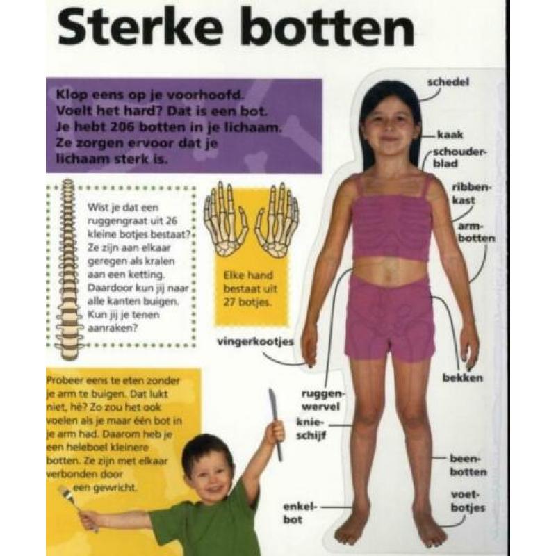 Mijn grote lichaamsboek ontdek hoe geweldig je bent