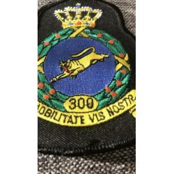 Crown kroon badge 300 sqn Kleur kleine versie