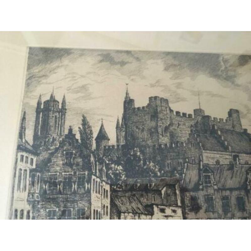 Zeer oude ets - Lievekaai in Gent Belgie