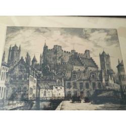 Zeer oude ets - Lievekaai in Gent Belgie