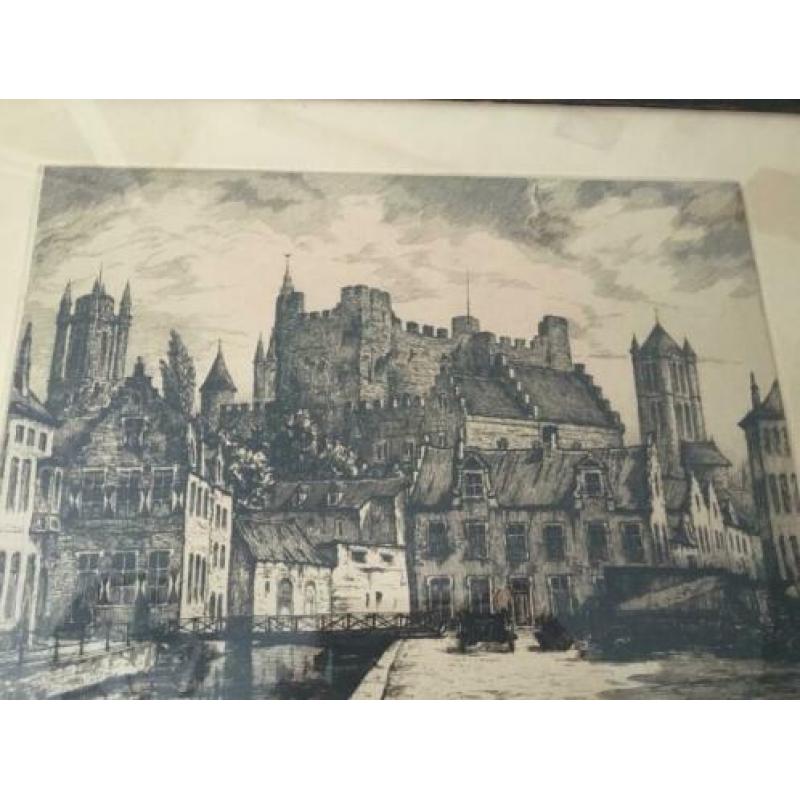 Zeer oude ets - Lievekaai in Gent Belgie
