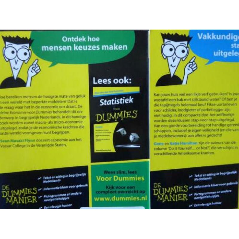 3v2 DE KLEINE ECONOMIE voor DUMMIES + KLUSSEN vr DUMMIES