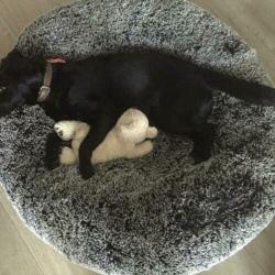 Bessie and Barnie