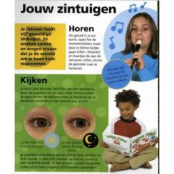 Mijn grote lichaamsboek ontdek hoe geweldig je bent