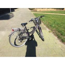 Sparta (Marathon) bike