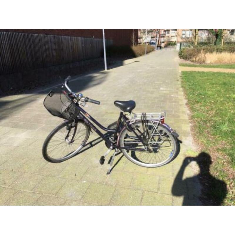 Sparta (Marathon) bike