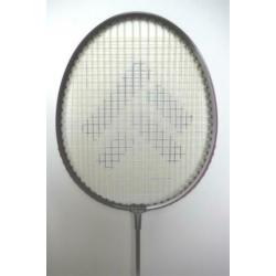 2 Tecno Pro badmintonrackets met beschermhoes