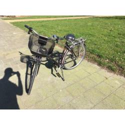Sparta (Marathon) bike