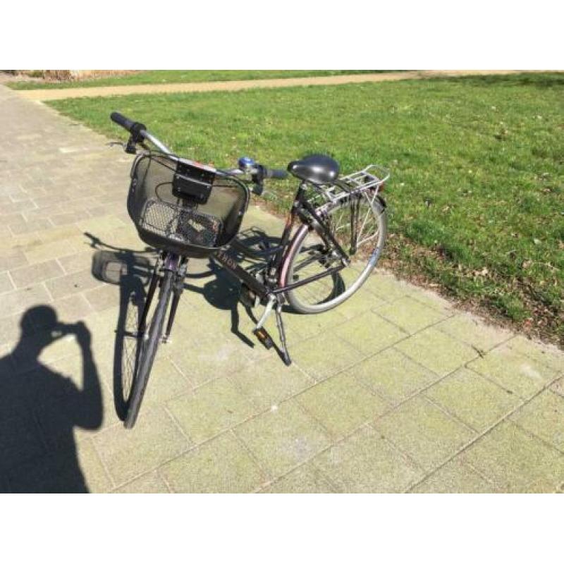 Sparta (Marathon) bike