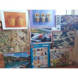 Legpuzzels meeste 1000st praag F1 geddes barcelona