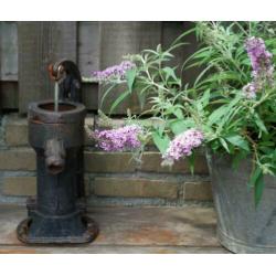 brocante oud gietijzeren waterpompje / water pompje