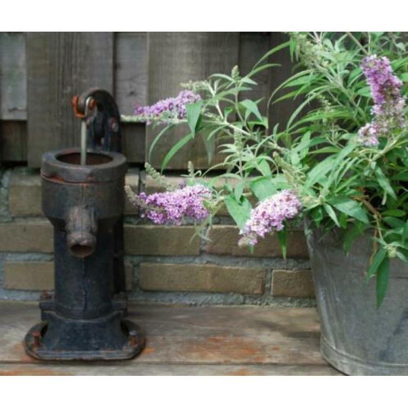 brocante oud gietijzeren waterpompje / water pompje