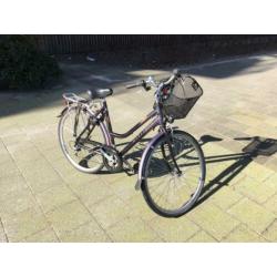 Sparta (Marathon) bike