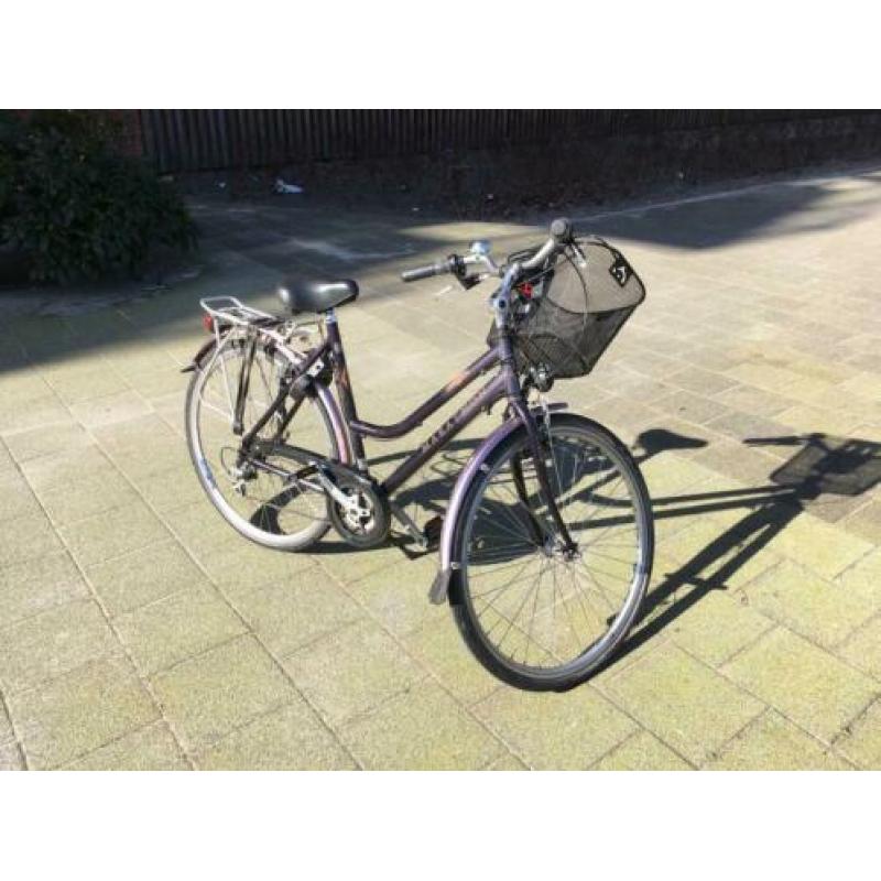 Sparta (Marathon) bike