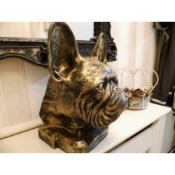 Aandenken sier of urn franse bulldog nergens te koop franse