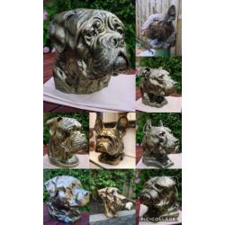 Aandenken sier of urn franse bulldog nergens te koop franse