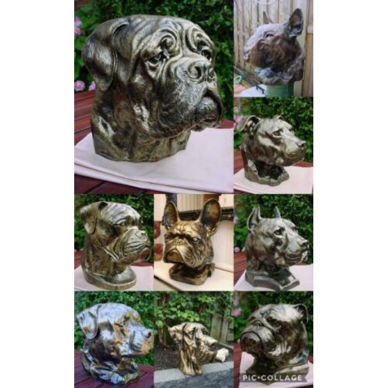 Aandenken sier of urn franse bulldog nergens te koop franse