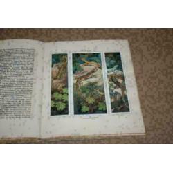 Verkade plaatjesalbum - Zeewateraquarium & Terrarium - 1930!