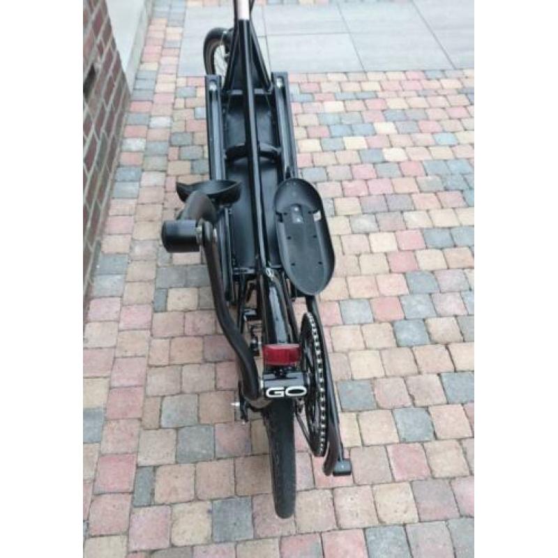ElliptiGo 8C