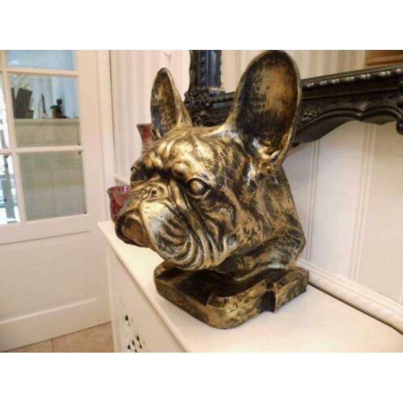 Aandenken sier of urn franse bulldog nergens te koop franse