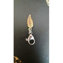 1 pimps en pearls bedel 1 merkloos hanger voor ketting