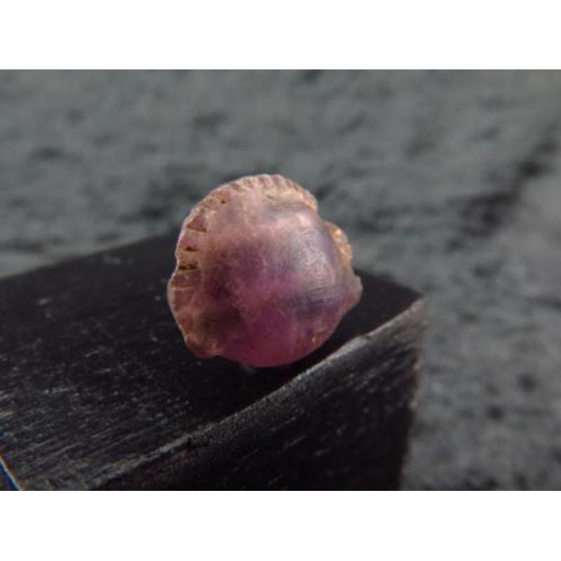 Egyptian Amethyst Cowrie shell amulet