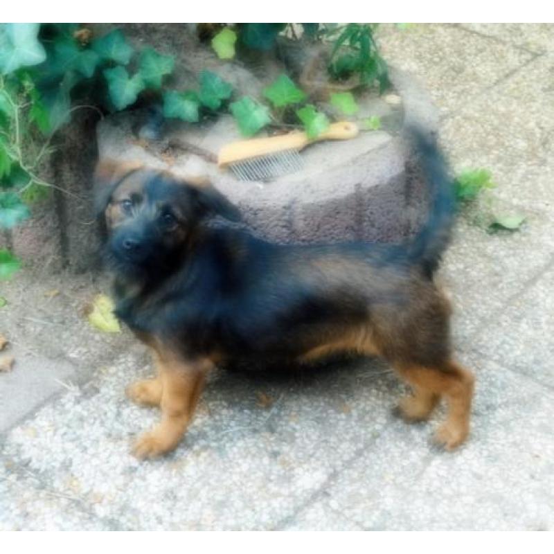 Raymond