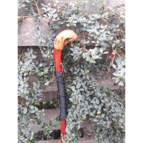 Herdersstok/wandelstok/hikingstaf